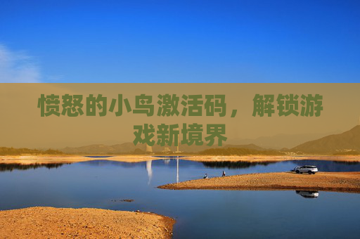 愤怒的小鸟激活码，解锁游戏新境界