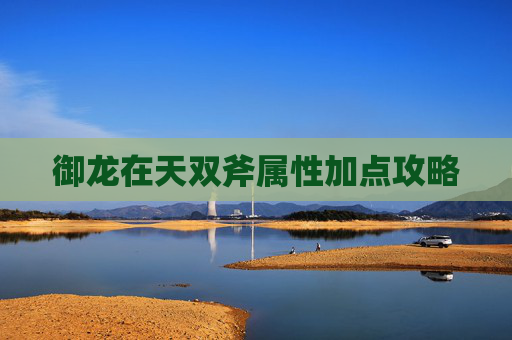 御龙在天双斧属性加点攻略