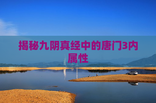 揭秘九阴真经中的唐门3内属性