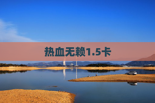 热血无赖1.5卡