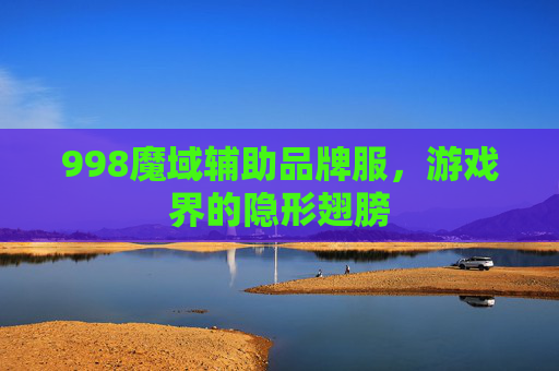998魔域辅助品牌服，游戏界的隐形翅膀