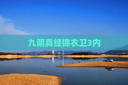 九阴真经锦衣卫3内