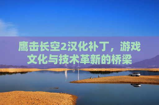 鹰击长空2汉化补丁,游戏文化与技术革新的桥梁 鹰击长空2汉化补丁,游戏文化与技术革新的桥梁