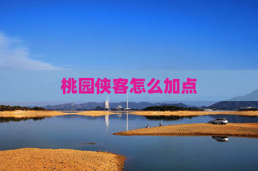 桃园侠客怎么加点 桃园侠客怎么加点