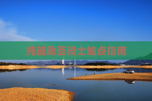 纯辅助圣骑士加点指南