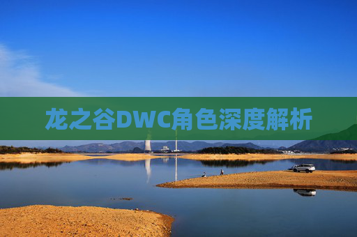 龙之谷DWC角色深度解析
