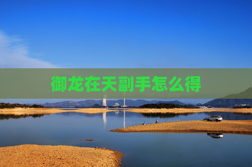 御龙在天副手怎么得