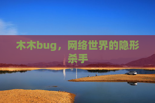 木木bug，网络世界的隐形杀手
