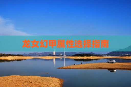 龙女幻甲属性选择指南