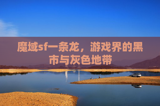 魔域sf一条龙,游戏界的黑市与灰色地带 魔域sf一条龙,游戏界的黑市与灰色地带