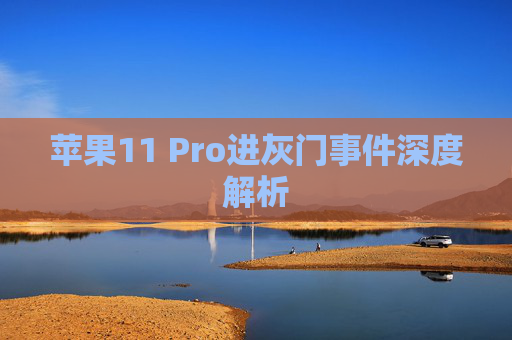 苹果11 Pro进灰门事件深度解析