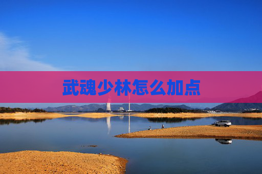 武魂少林怎么加点 武魂少林怎么加点
