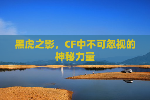 黑虎之影,CF中不可忽视的神秘力量 黑虎之影,CF中不可忽视的神秘力量