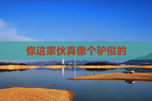 你这家伙真像个驴似的 你这家伙真像个驴似的
