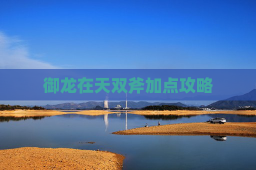 御龙在天双斧加点攻略 御龙在天双斧加点攻略