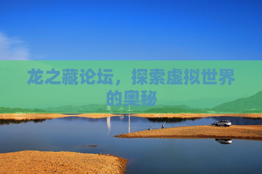 龙之藏论坛，探索虚拟世界的奥秘