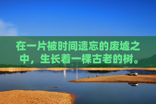 在一片被时间遗忘的废墟之中，生长着一棵古老的树。它孤独地矗立在那里，仿佛是这片废墟唯一的见证者。这棵树见证了历史的变迁，也承载了无数人的回忆