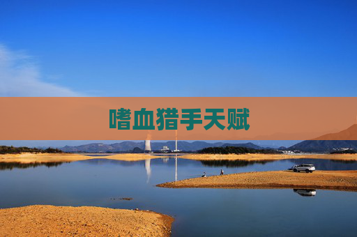 嗜血猎手天赋