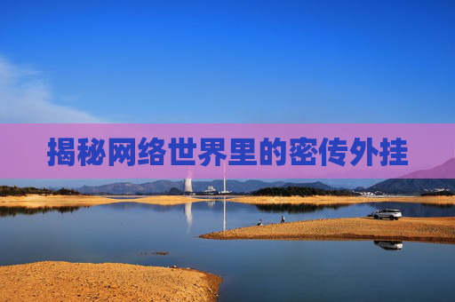 揭秘网络世界里的密传外挂 揭秘网络世界里的密传外挂