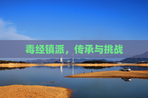 毒经镇派，传承与挑战