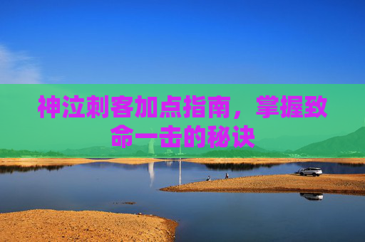 神泣刺客加点指南，掌握致命一击的秘诀