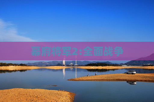 幕府将军2:全面战争