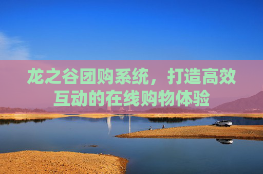 龙之谷团购系统，打造高效互动的在线购物体验