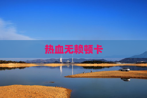 热血无赖顿卡