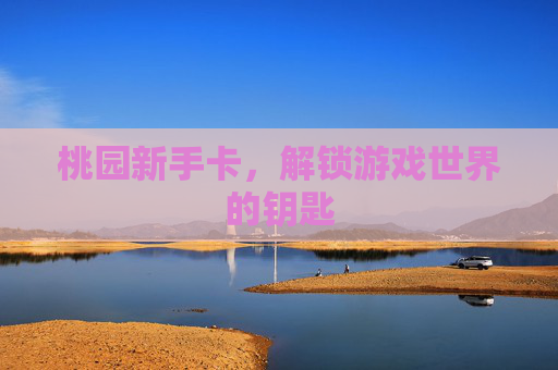 桃园新手卡,解锁游戏世界的钥匙 桃园新手卡,解锁游戏世界的钥匙