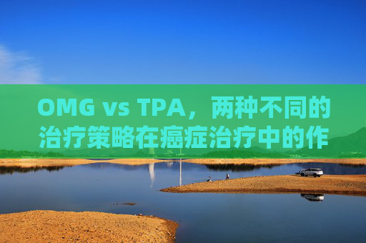 OMG vs TPA,两种不同的治疗策略在癌症治疗中的作用与影响 OMG vs TPA,两种不同的治疗策略在癌症治疗中的作用与影响