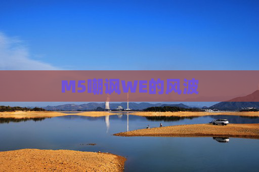M5嘲讽WE的风波 M5嘲讽WE的风波