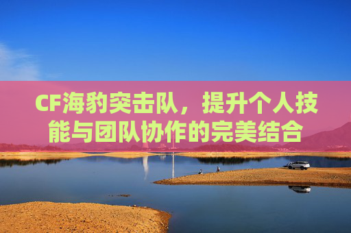 CF海豹突击队，提升个人技能与团队协作的完美结合