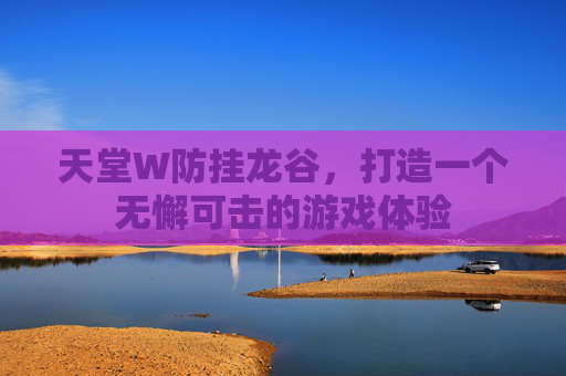 天堂W防挂龙谷，打造一个无懈可击的游戏体验