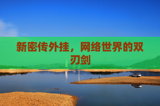 新密传外挂，网络世界的双刃剑
