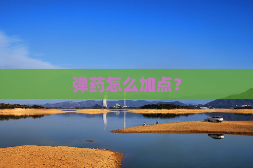 弹药怎么加点? 弹药怎么加点?