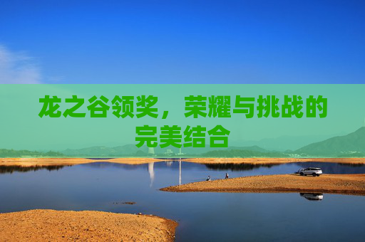 龙之谷领奖，荣耀与挑战的完美结合