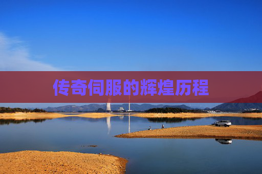 传奇伺服的辉煌历程