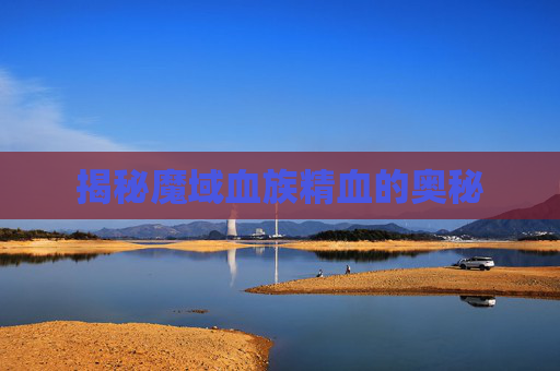揭秘魔域血族精血的奥秘