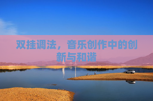 双挂调法,音乐创作中的创新与和谐 双挂调法,音乐创作中的创新与和谐