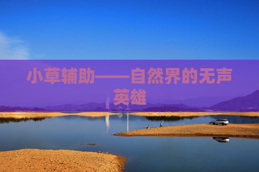 小草辅助——自然界的无声英雄 小草辅助——自然界的无声英雄