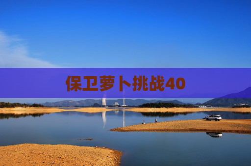 保卫萝卜挑战40
