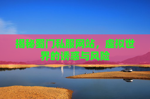 揭秘蜀门私服网站，虚拟世界的诱惑与风险