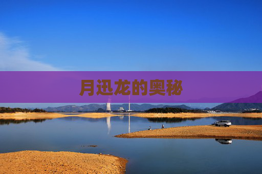 月迅龙的奥秘 月迅龙的奥秘