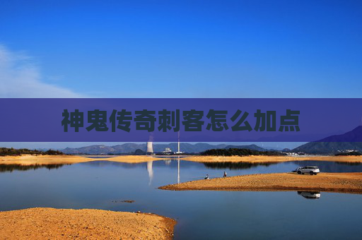 神鬼传奇刺客怎么加点