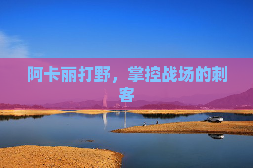 阿卡丽打野，掌控战场的刺客