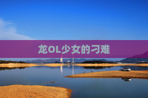 龙OL少女的刁难