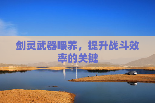 剑灵武器喂养，提升战斗效率的关键