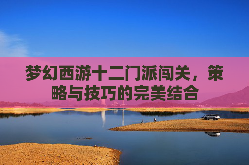 梦幻西游十二门派闯关，策略与技巧的完美结合