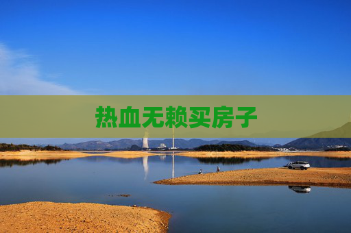 热血无赖买房子 热血无赖买房子