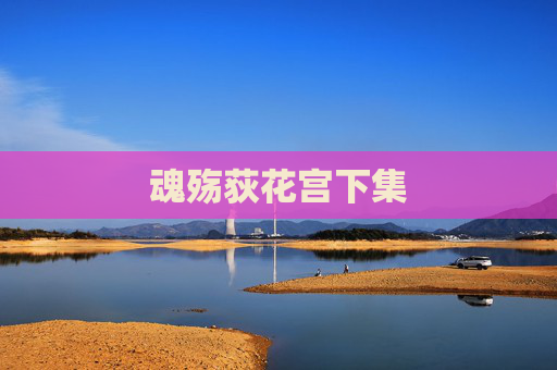 魂殇荻花宫下集 魂殇荻花宫下集